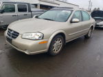 2000 Nissan Maxima Gle Beige vin: JN1CA31D6YT703371