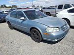 2000 Nissan Maxima Gle Blue vin: JN1CA31D6YT749105