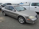 2000 Nissan Maxima Gle Tan vin: JN1CA31D7YT541377