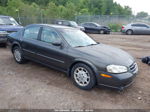 2000 Nissan Maxima Gle/gxe/se Gray vin: JN1CA31D8YT521669