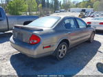 2000 Nissan Maxima Gle/gxe/se Gray vin: JN1CA31DXYT542183