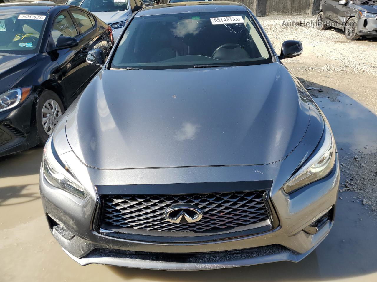 2019 Infiniti Q50 Luxe Gray vin: JN1EV7AP7KM515118