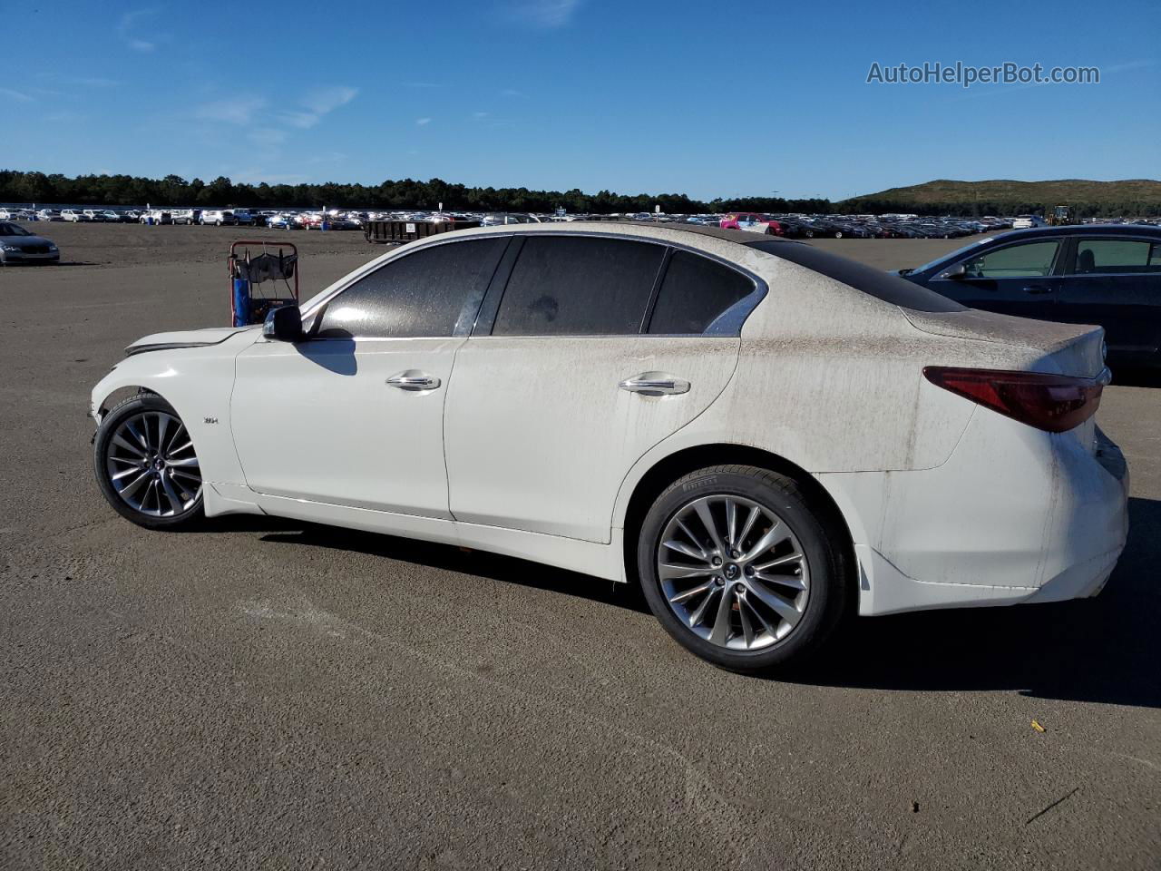 2019 Infiniti Q50 Luxe White vin: JN1EV7APXKM511161