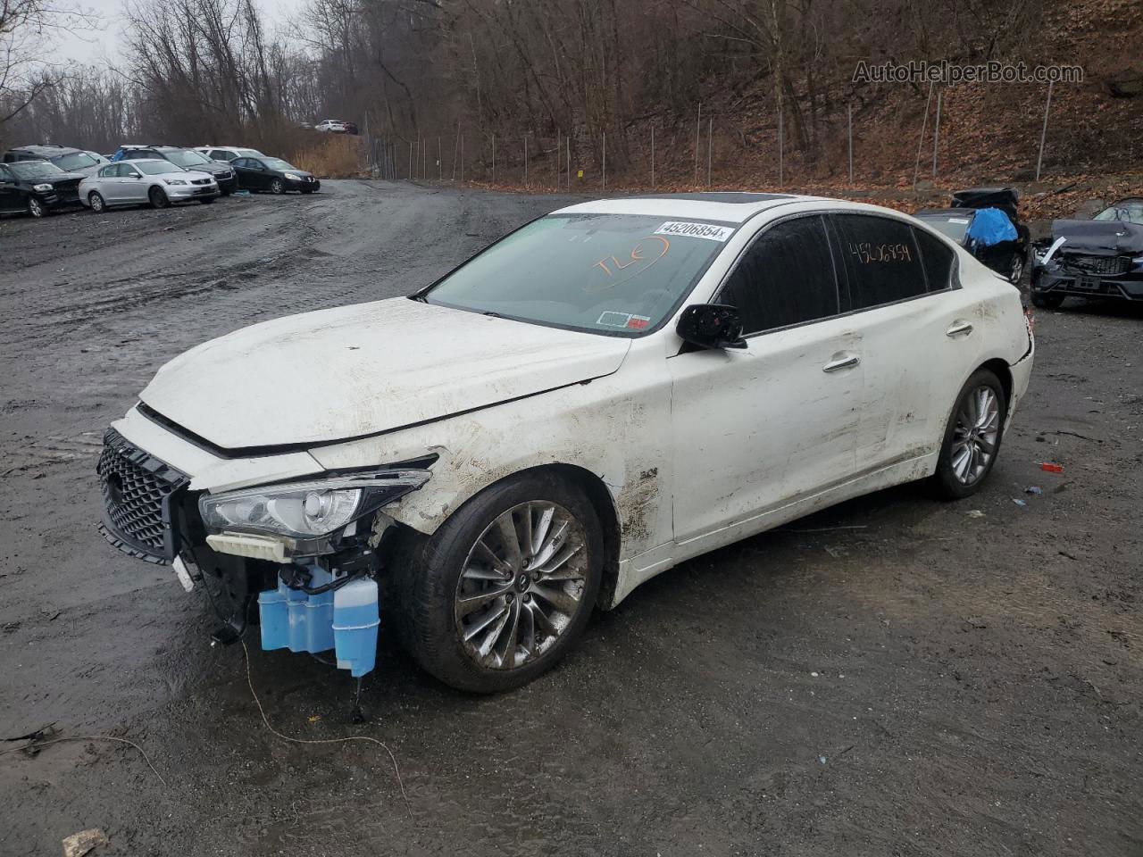 2019 Infiniti Q50 Luxe White vin: JN1EV7ARXKM552018