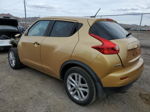 2013 Nissan Juke S Золотой vin: JN8AF5MV1DT212789