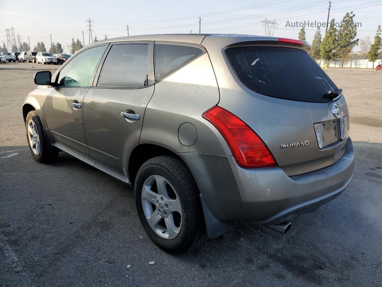 2004 Nissan Murano Sl Серый vin: JN8AZ08W54W301969