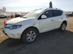 2010 Nissan Murano S White vin: JN8AZ1MU0AW016876