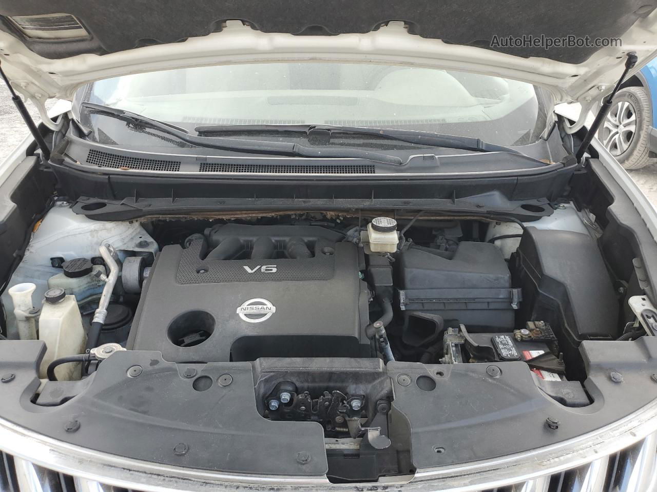 2010 Nissan Murano S Белый vin: JN8AZ1MU1AW016465