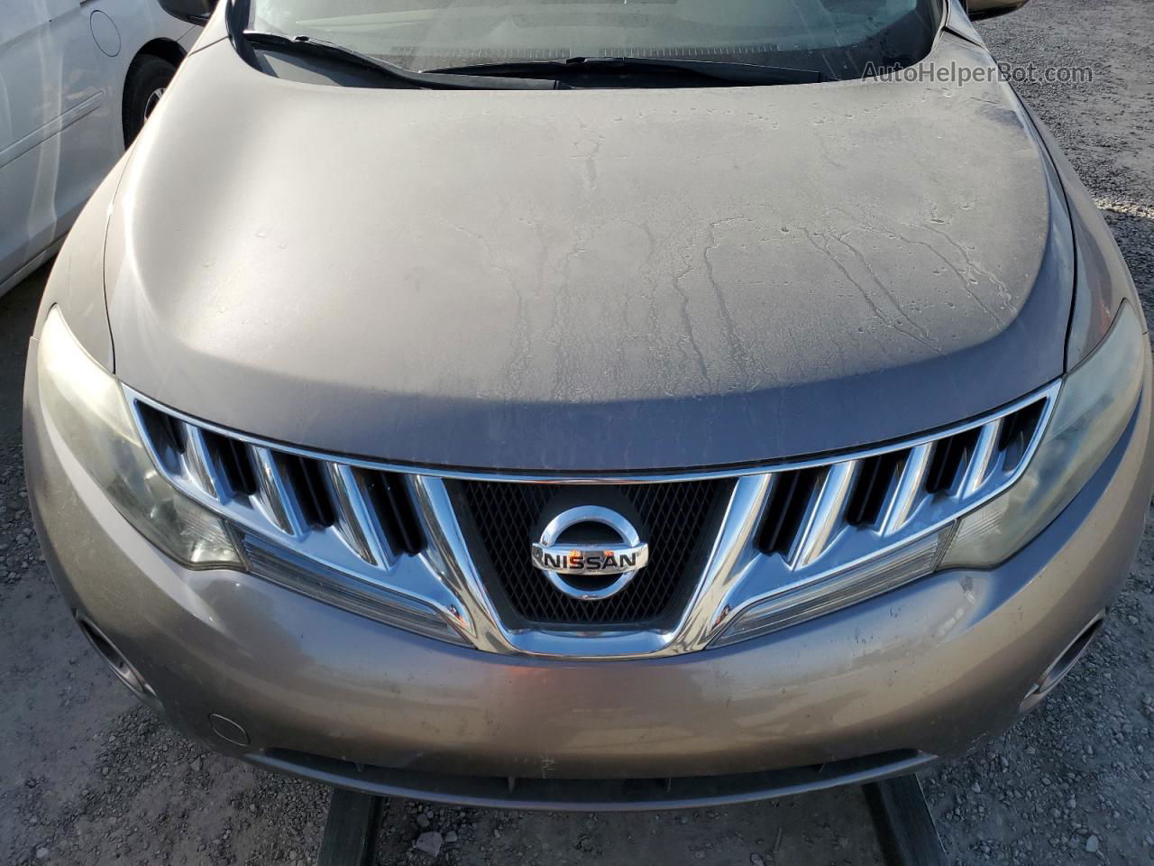 2010 Nissan Murano S Серый vin: JN8AZ1MU2AW010951