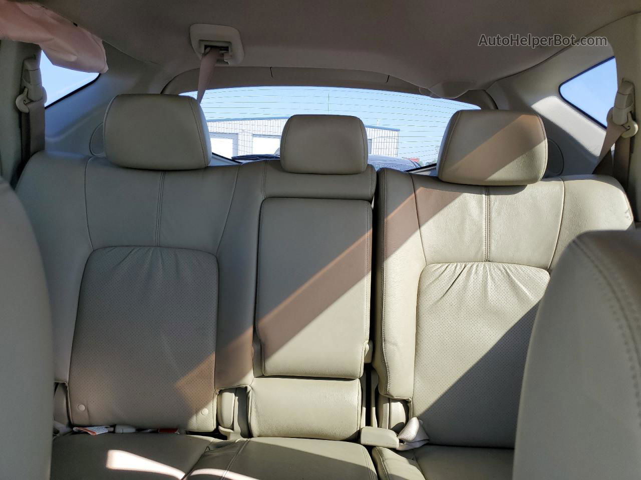 2010 Nissan Murano S Brown vin: JN8AZ1MU3AW002700
