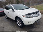 2010 Nissan Murano Sl Белый vin: JN8AZ1MU4AW014483