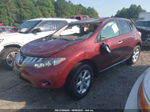 2010 Nissan Murano S Бордовый vin: JN8AZ1MU5AW000964