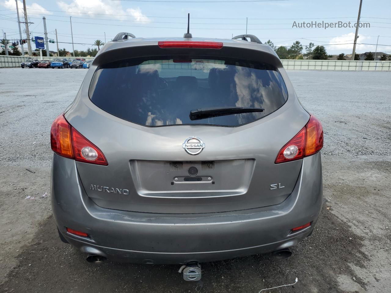 2010 Nissan Murano S Gold vin: JN8AZ1MU7AW014977