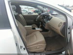 2011 Nissan Murano Sl Белый vin: JN8AZ1MU7BW058107