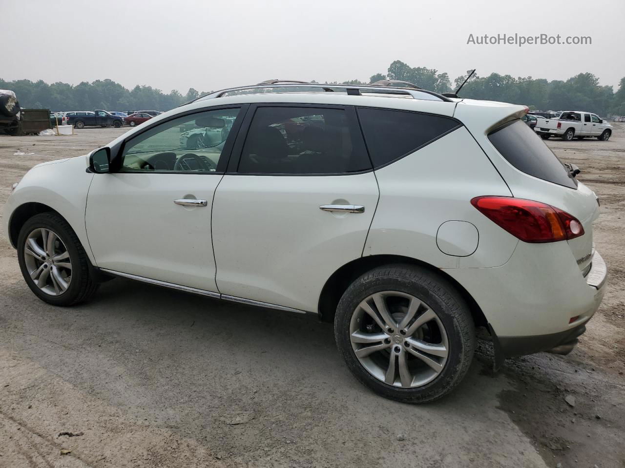 2010 Nissan Murano S Белый vin: JN8AZ1MW1AW121461