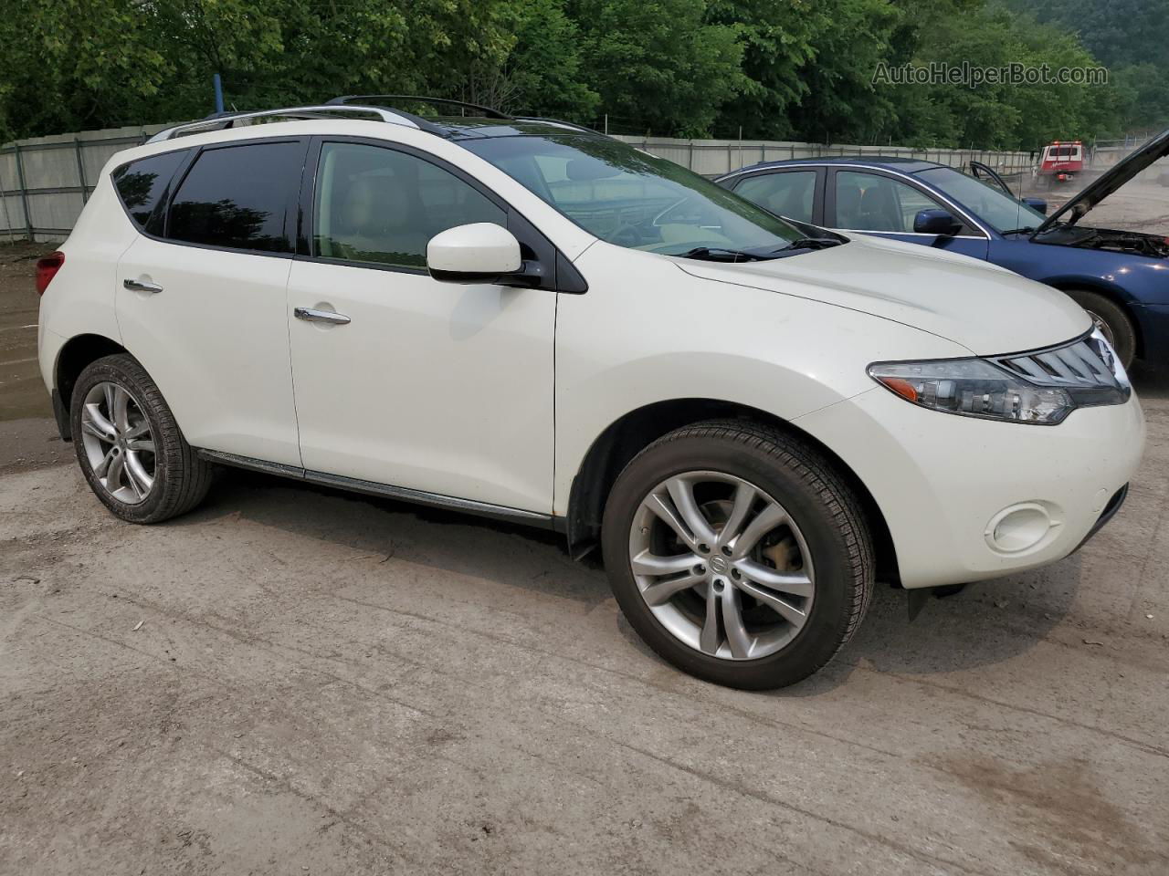 2010 Nissan Murano S Белый vin: JN8AZ1MW1AW121461