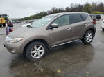 2010 Nissan Murano S Brown vin: JN8AZ1MW2AW127687