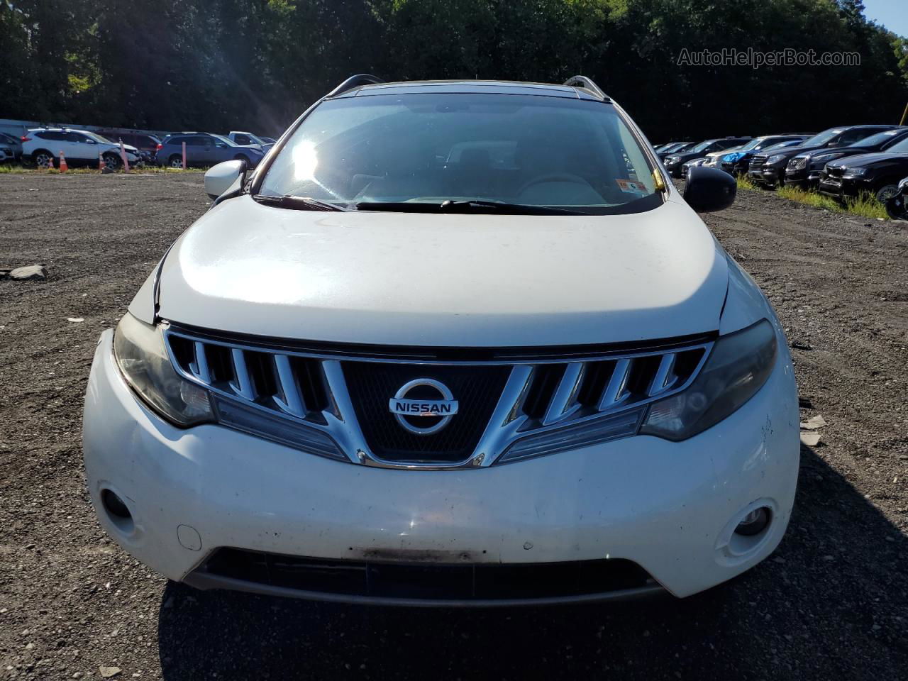 2010 Nissan Murano S Белый vin: JN8AZ1MW3AW107934