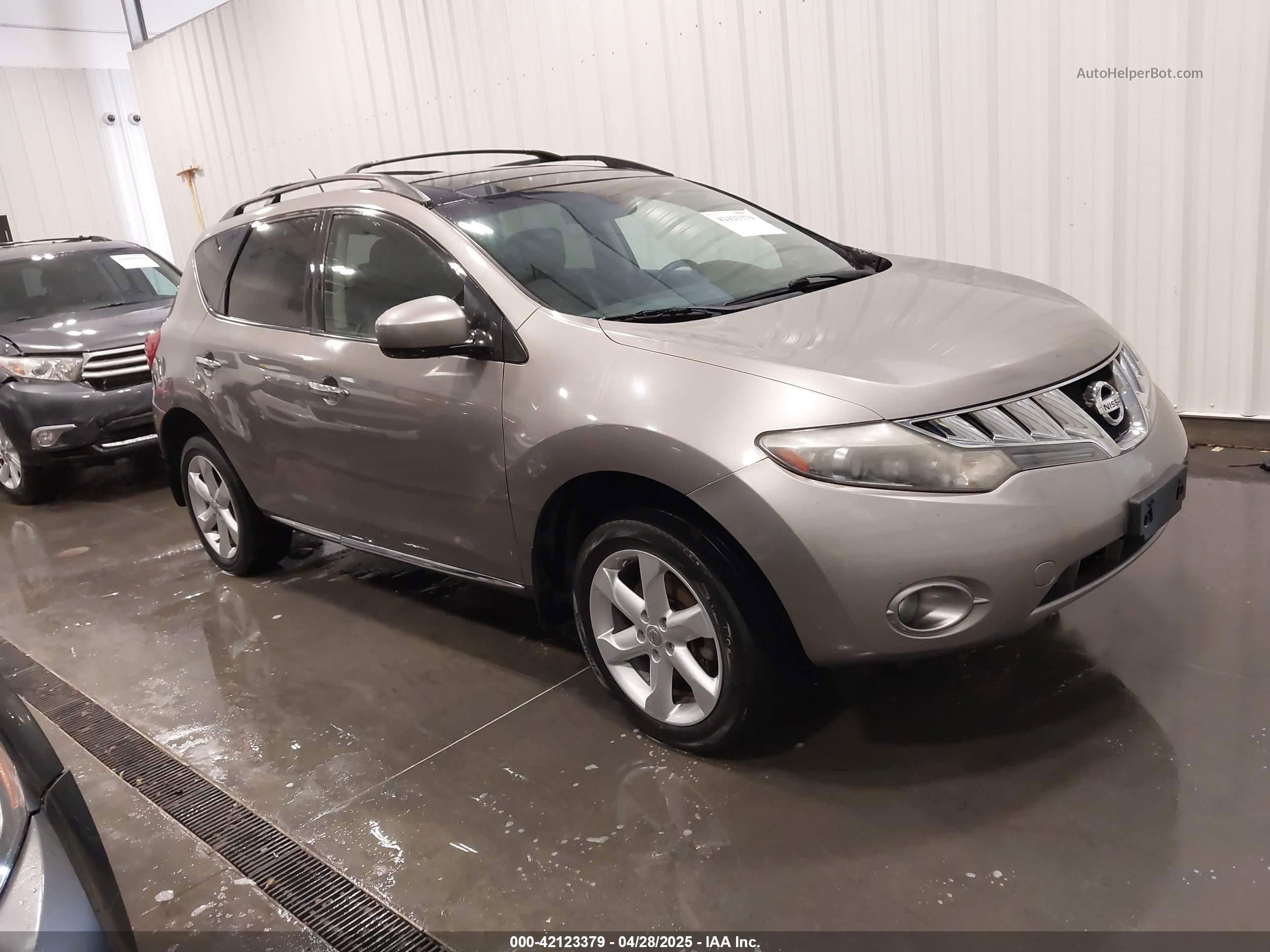 2010 Nissan Murano Sl Серый vin: JN8AZ1MW3AW118917