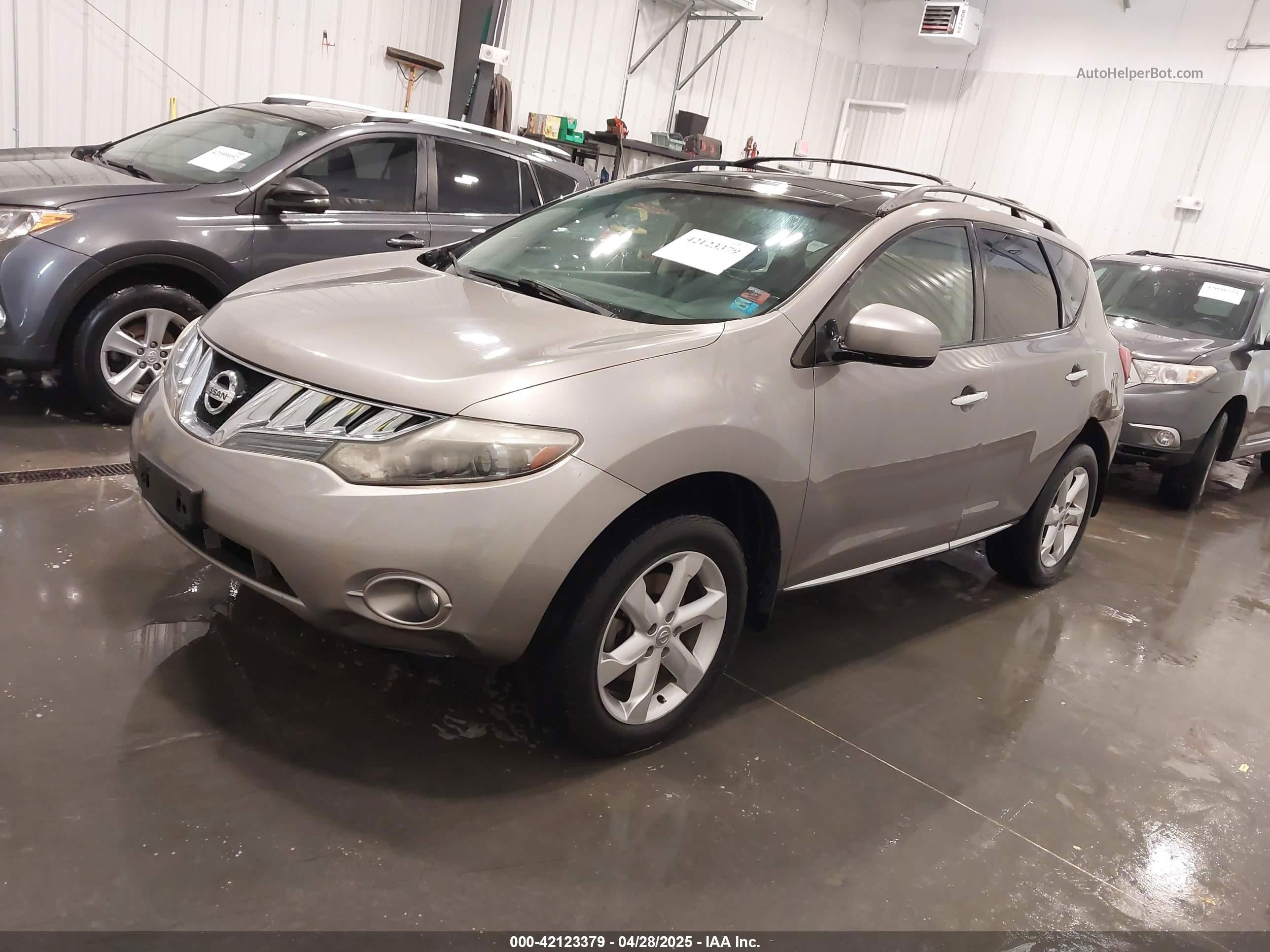 2010 Nissan Murano Sl Серый vin: JN8AZ1MW3AW118917