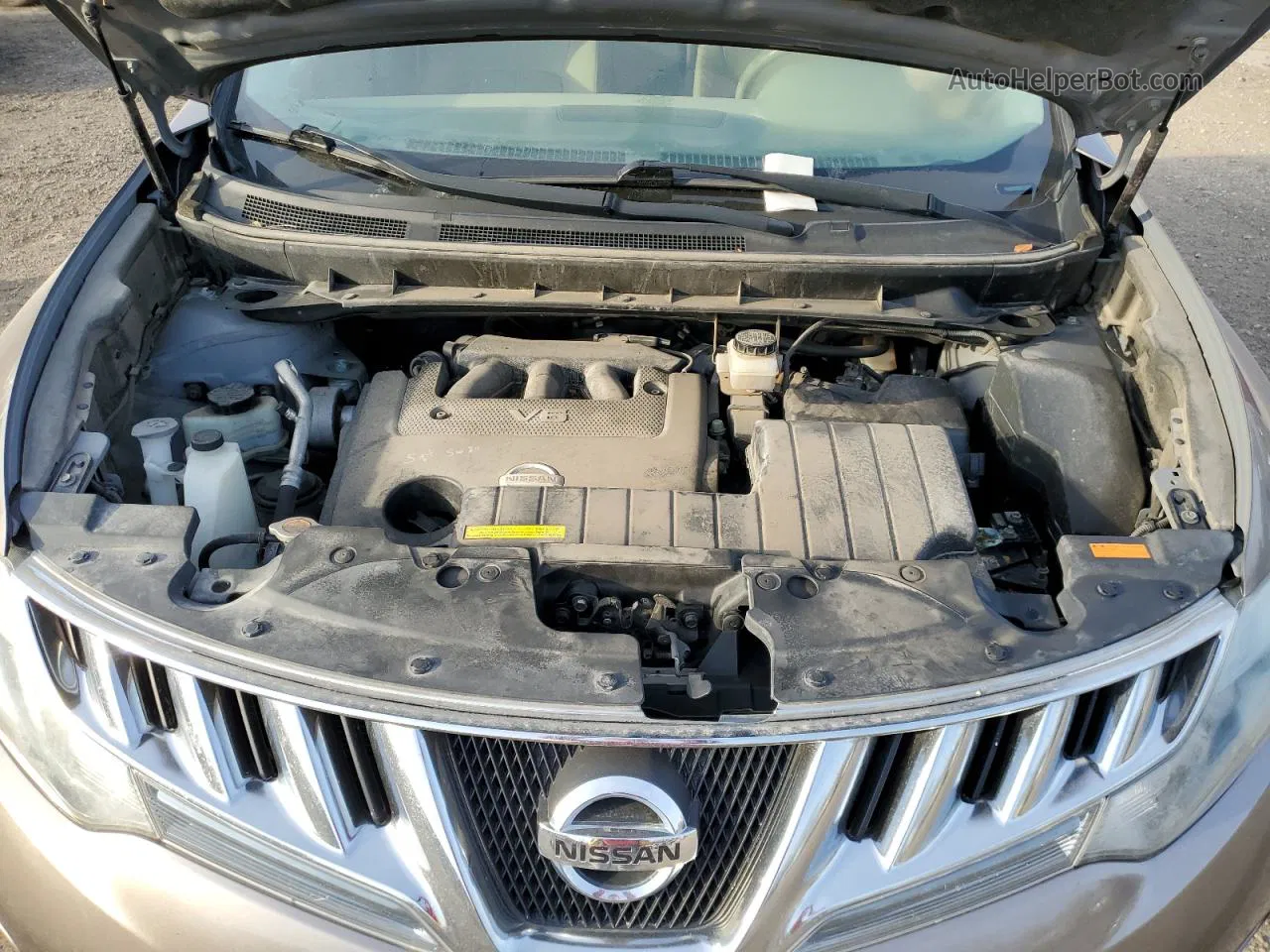 2010 Nissan Murano S Коричневый vin: JN8AZ1MW3AW119744