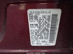 2010 Nissan Murano Sl Бордовый vin: JN8AZ1MW3AW124863