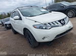 2010 Nissan Murano Sl White vin: JN8AZ1MW4AW122328