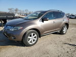 2010 Nissan Murano S Желто-коричневый vin: JN8AZ1MW4AW127089