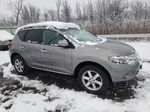 2010 Nissan Murano S Серый vin: JN8AZ1MW4AW128288