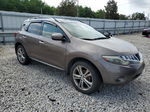 2010 Nissan Murano S Brown vin: JN8AZ1MW4AW131742