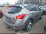 2010 Nissan Murano Sl Серый vin: JN8AZ1MW4AW137878