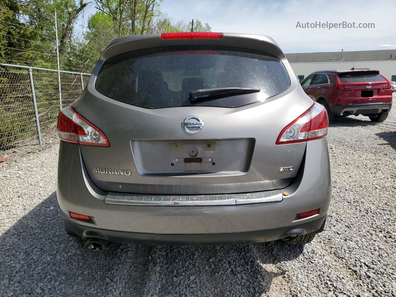 2011 Nissan Murano S Бежевый vin: JN8AZ1MW4BW186872