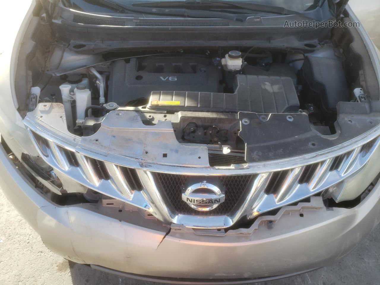 2010 Nissan Murano S Золотой vin: JN8AZ1MW5AW106333