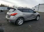 2010 Nissan Murano S Бежевый vin: JN8AZ1MW5AW113170