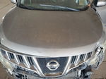 2010 Nissan Murano S Gray vin: JN8AZ1MW6AW103831