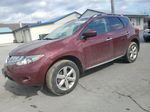 2010 Nissan Murano S Brown vin: JN8AZ1MW7AW128589