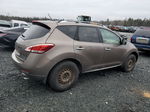 2011 Nissan Murano S Brown vin: JN8AZ1MW7BW161366