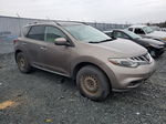 2011 Nissan Murano S Brown vin: JN8AZ1MW7BW161366