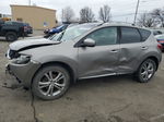 2010 Nissan Murano S Silver vin: JN8AZ1MW8AW103605