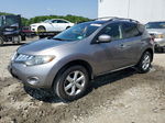 2010 Nissan Murano S Gray vin: JN8AZ1MW8AW114233