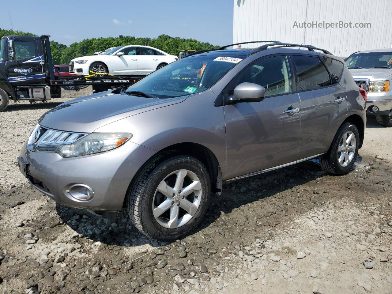 2010 Nissan Murano S Gray vin: JN8AZ1MW8AW114233