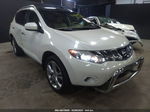 2010 Nissan Murano Le White vin: JN8AZ1MW8AW114913