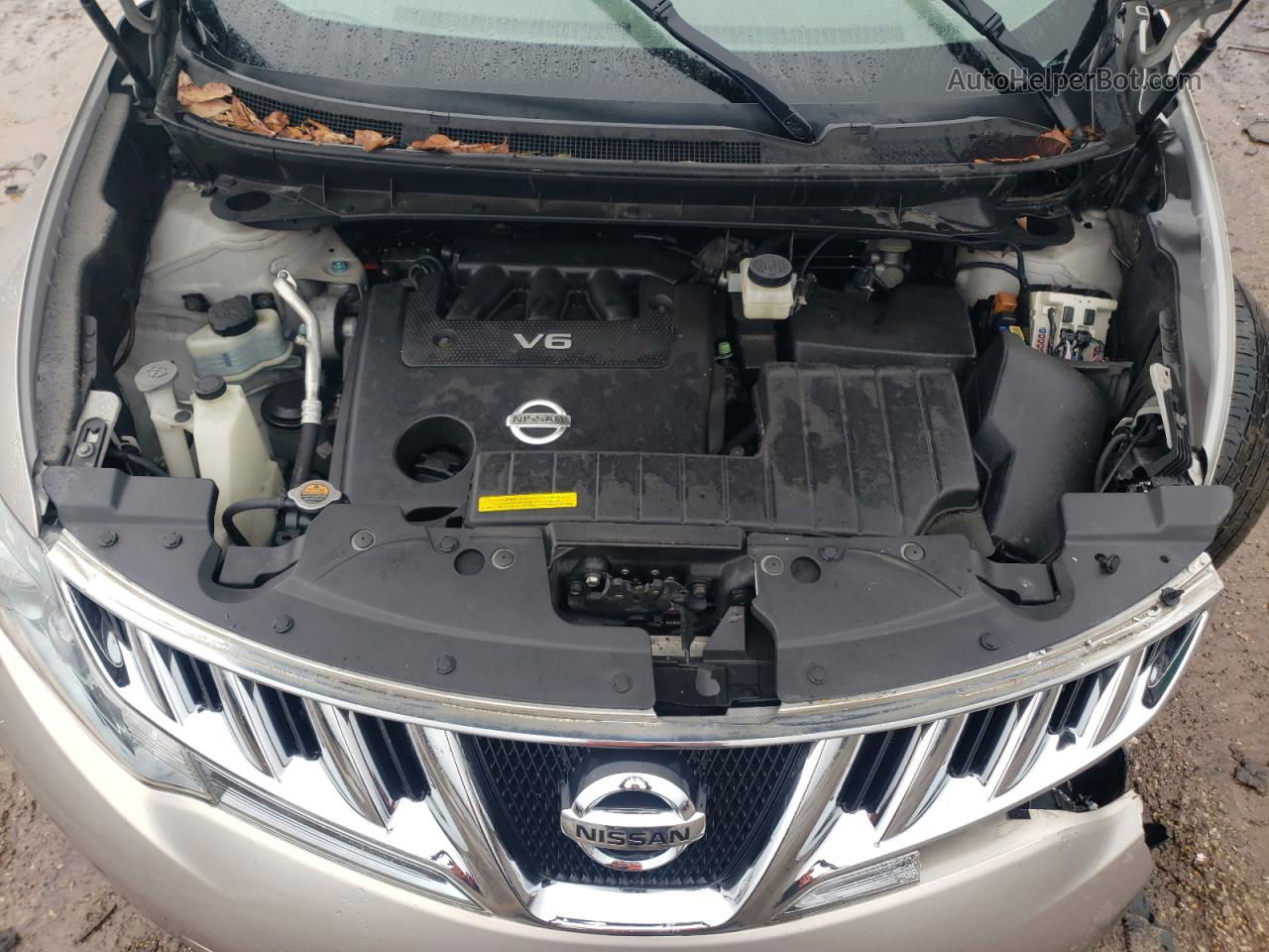 2010 Nissan Murano S Cream vin: JN8AZ1MW8AW127547