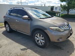 2010 Nissan Murano S Brown vin: JN8AZ1MW9AW118887