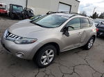 2010 Nissan Murano S Желто-коричневый vin: JN8AZ1MW9AW120672