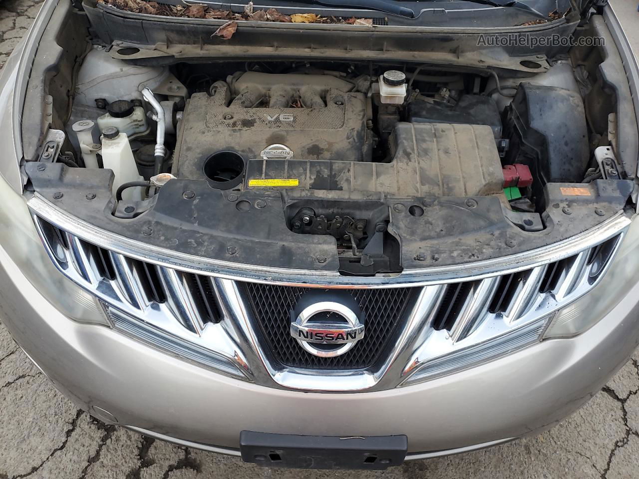 2010 Nissan Murano S Желто-коричневый vin: JN8AZ1MW9AW120672