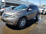 2010 Nissan Murano S Brown vin: JN8AZ1MWXAW102620