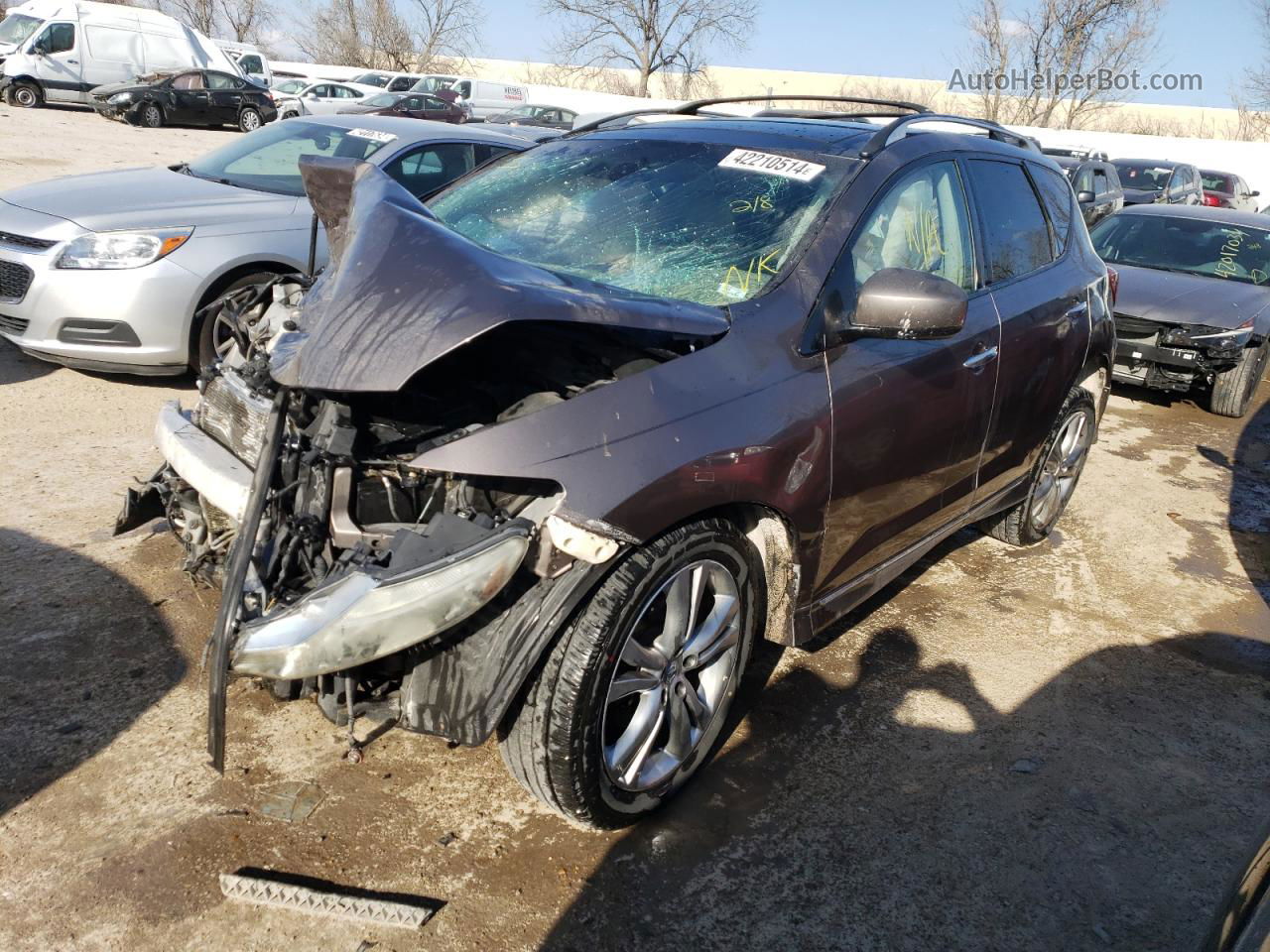 2010 Nissan Murano S Желто-коричневый vin: JN8AZ1MWXAW115951