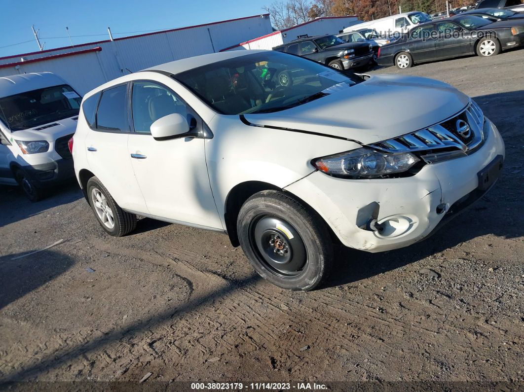 2010 Nissan Murano S Белый vin: JN8AZ1MWXAW128540