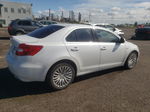 2013 Suzuki Kizashi Sx Белый vin: JS2RF9A75D6100142